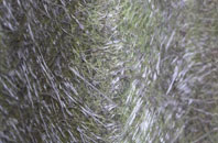 Fairoak fibreglass roof work